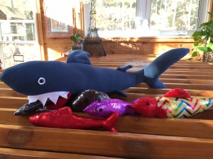 A beautiful  blue shark with his lunch swimming nearby